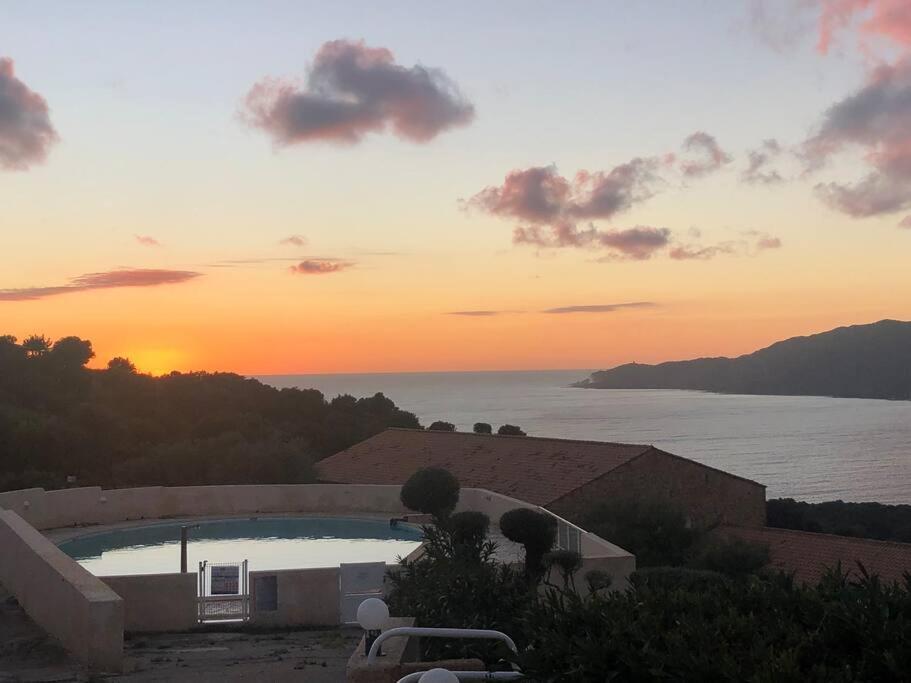 Appartement T2 Avec Piscine Aux Portes De La Plage De Cupabia Serra-di-Ferro  Exteriör bild